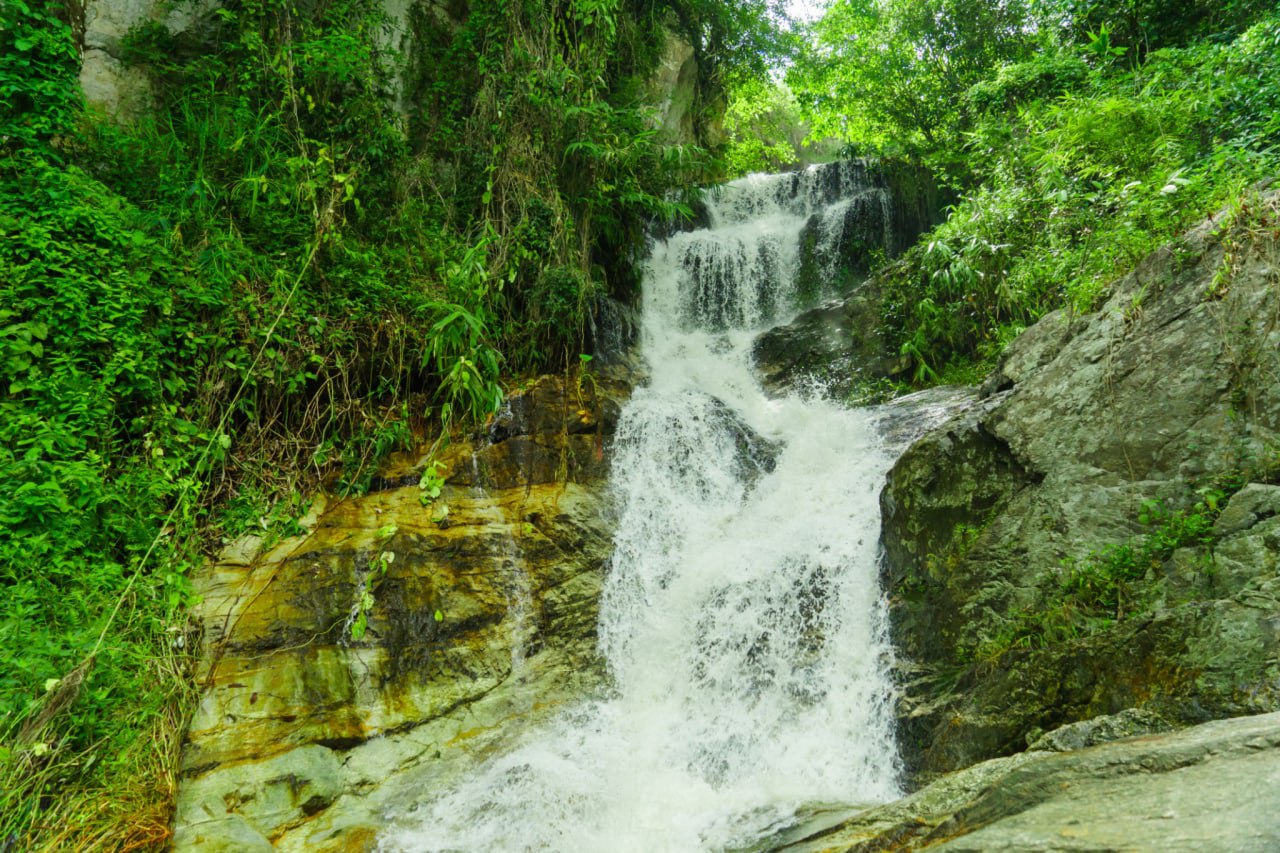 Search for the best prices...