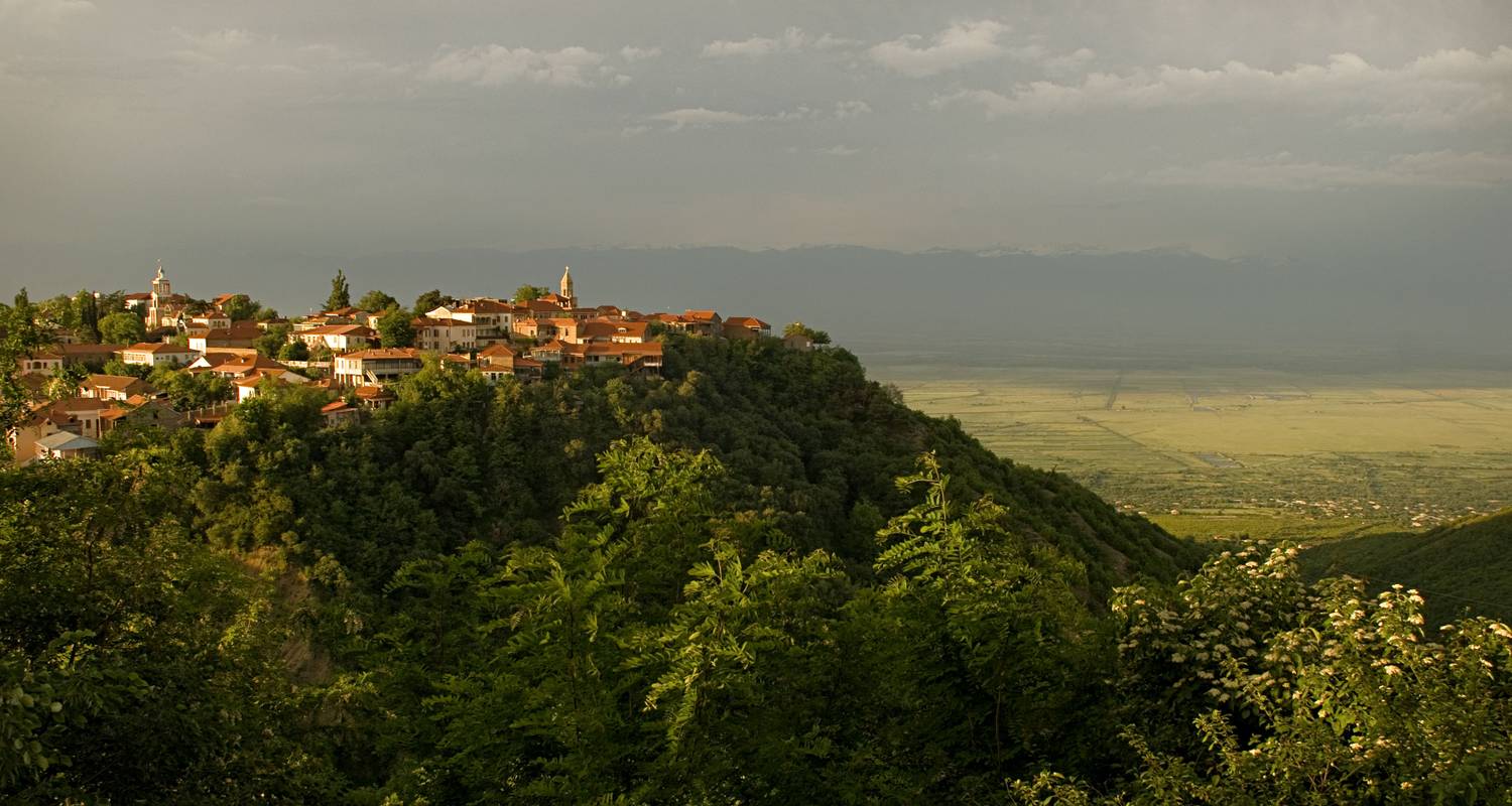 Search for the best prices...