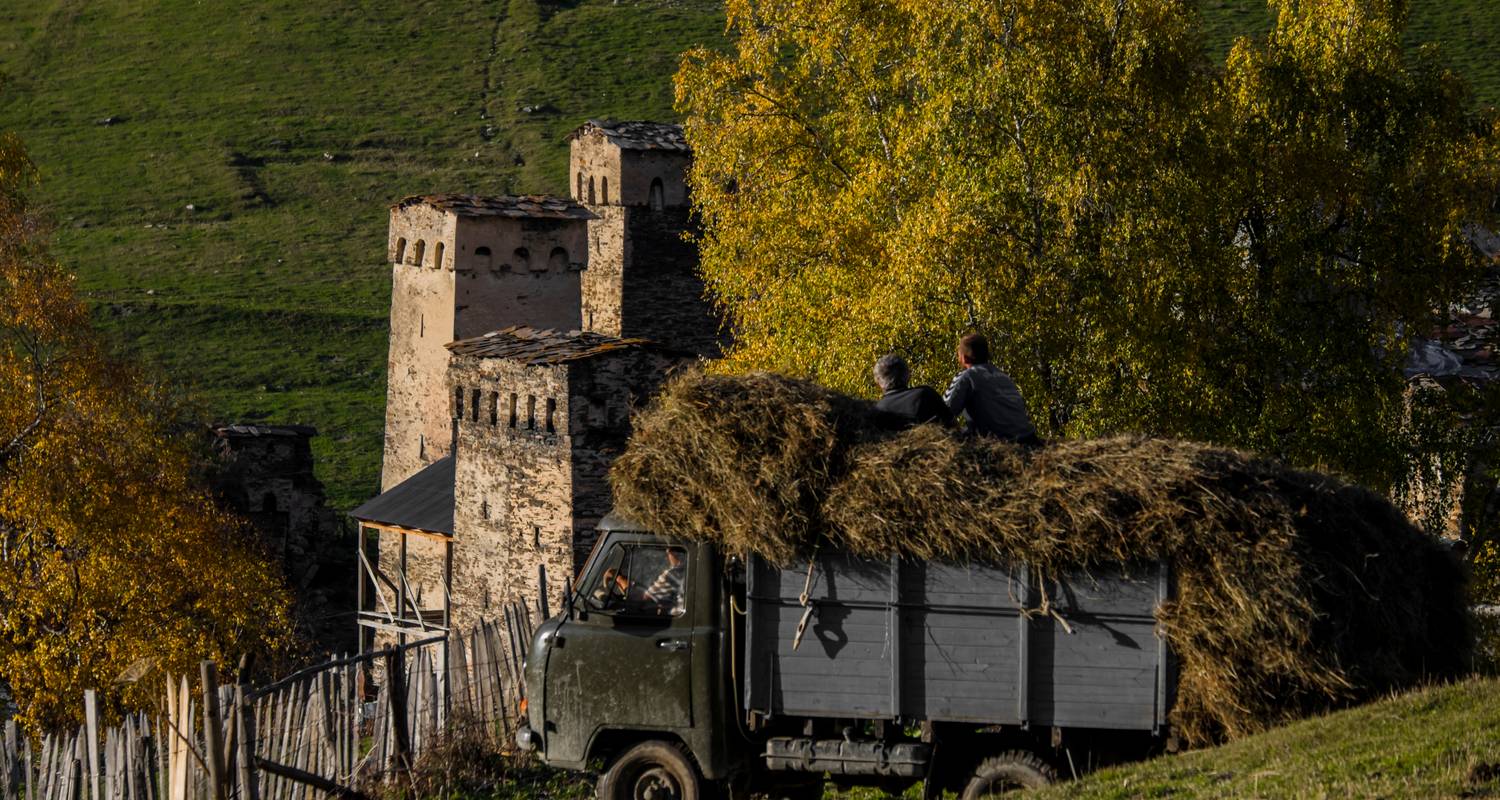 Search for the best prices...