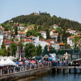 Search for the best prices...