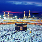 Search for the best prices...