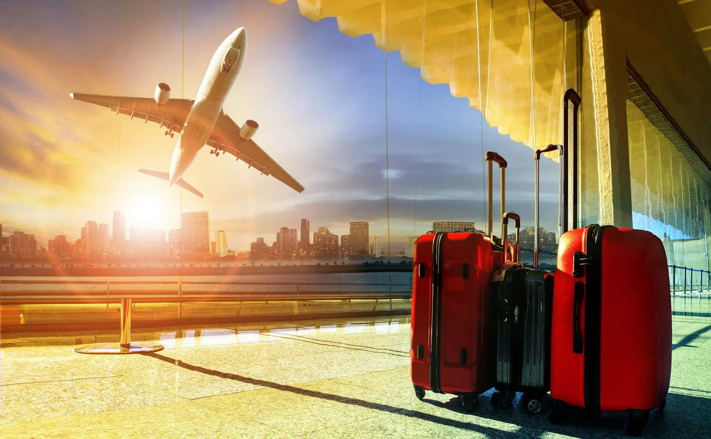 The Ultimate Guide to Using a Flight Booking Website for Hassle-Free Travel