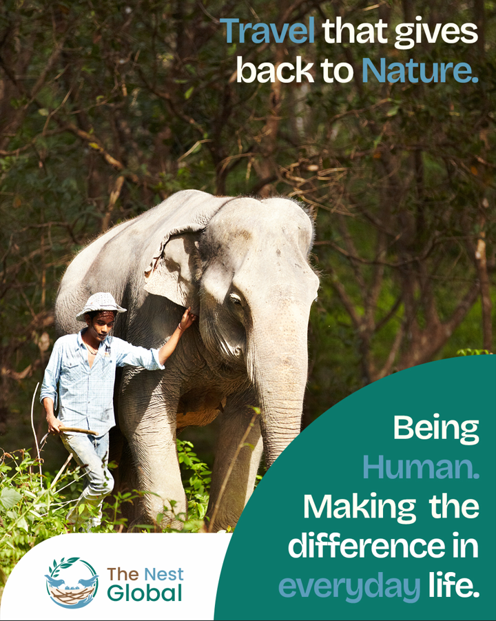 Search for the best prices...