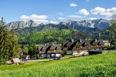 Search for the best prices...